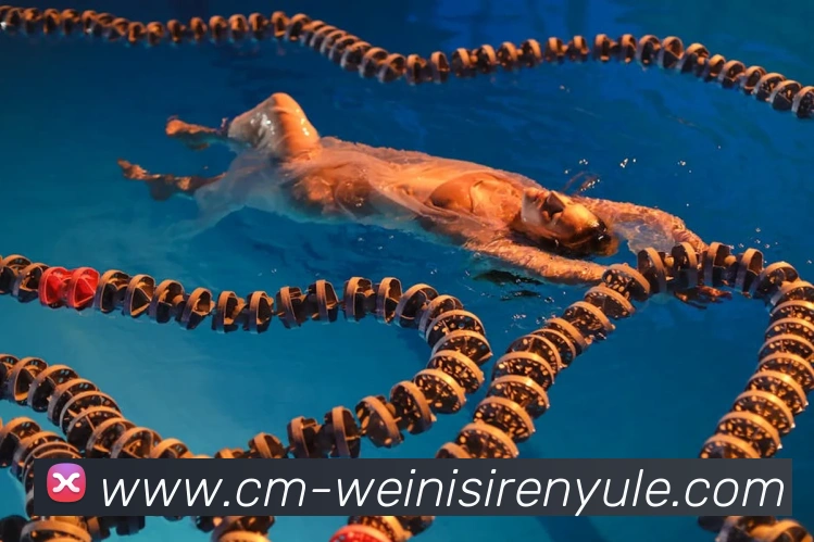 多媒体互动体验